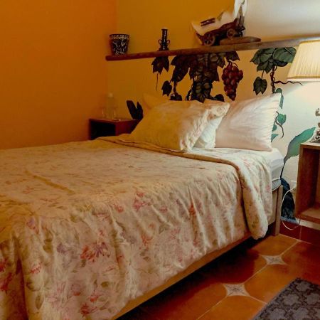 Pozzito Boutique Bed and Breakfast San Miguel de Allende Eksteriør billede