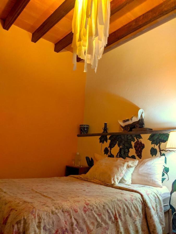 Pozzito Boutique Bed and Breakfast San Miguel de Allende Eksteriør billede