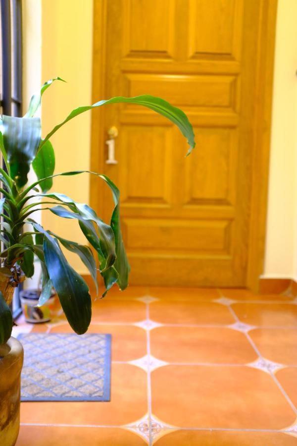 Pozzito Boutique Bed and Breakfast San Miguel de Allende Eksteriør billede