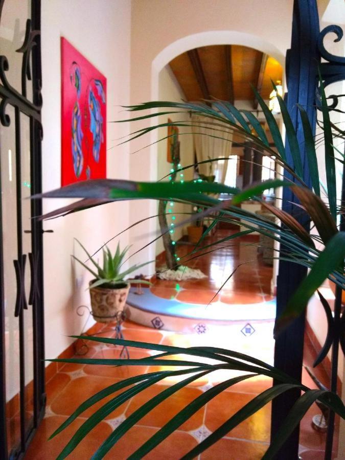 Pozzito Boutique Bed and Breakfast San Miguel de Allende Eksteriør billede